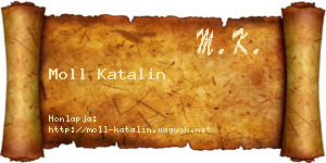 Moll Katalin névjegykártya